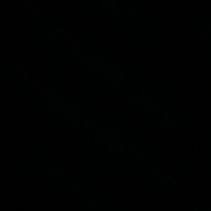 Meet your Posher, Zachary